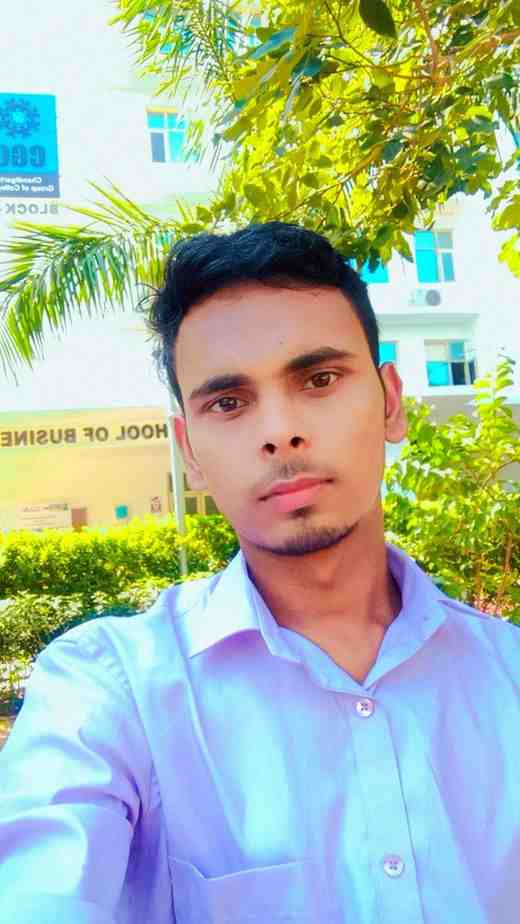 Dipu raj - Summer Internship Training student at Anu IT Solution in Patna