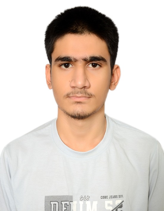 Akhil Singh Mehta - Summer Internship Training student at Anu IT Solution in Patna