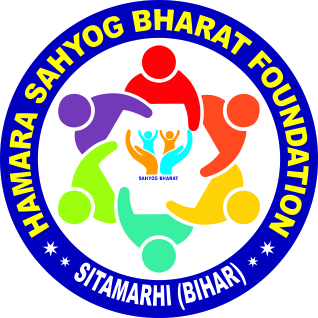 web development company in patna