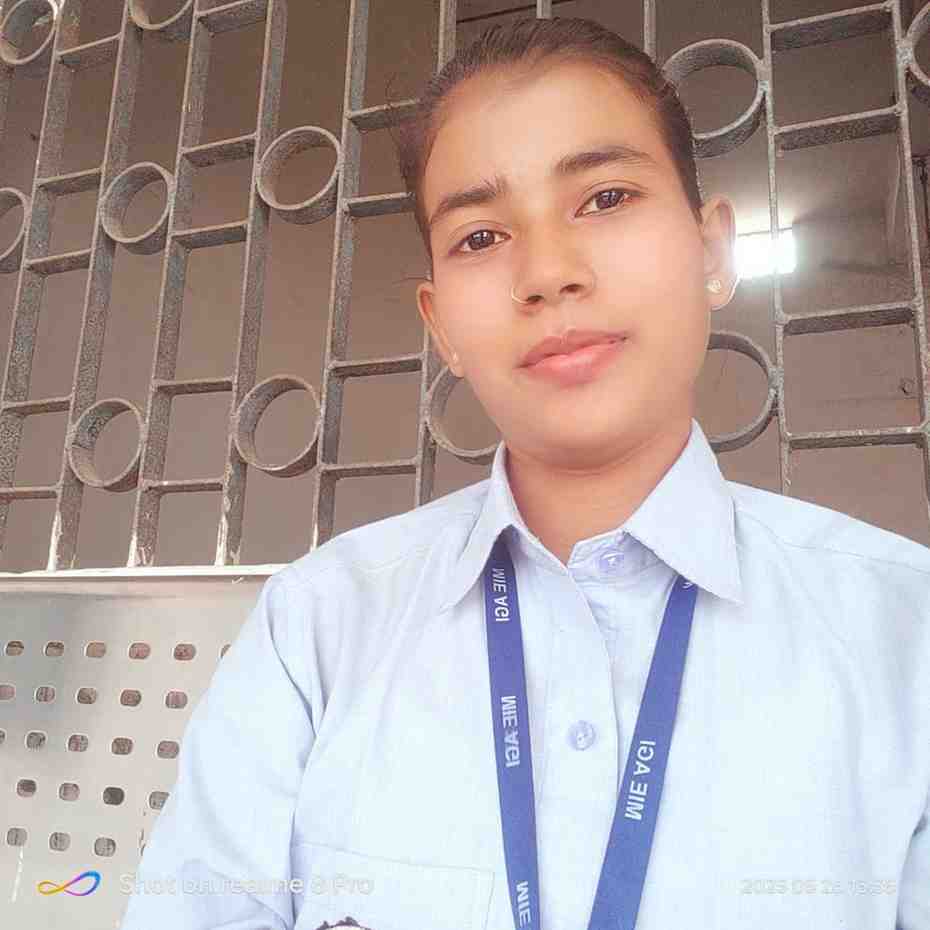 Harshita kumari  - Summer Internship Training student at Anu IT Solution in Patna