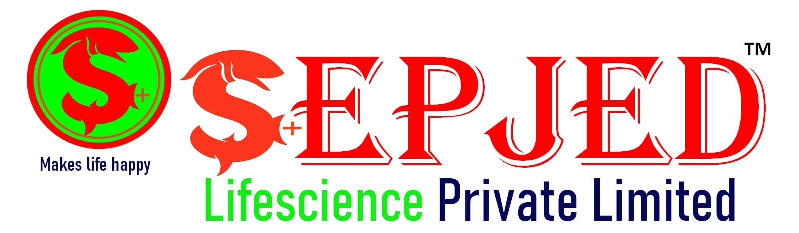 web development company in patna