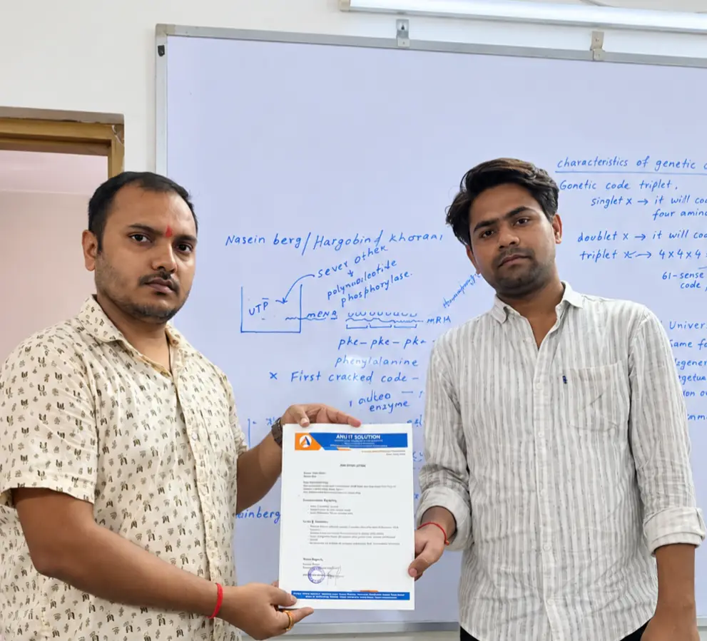web development company in patna